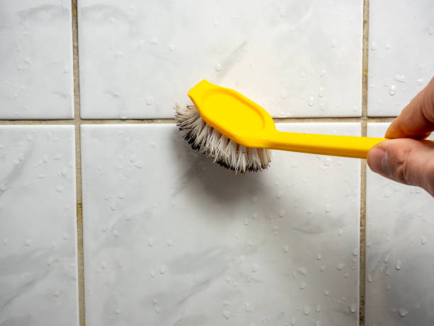 Trusted Cookson, OK Mold Removal Experts
