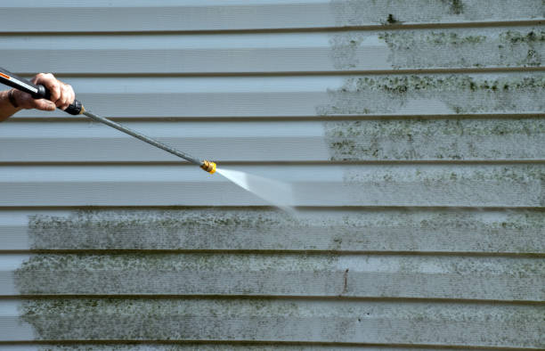 Home Mold Removal in Cookson, OK