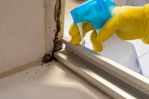 Best Residential Mold Removal  in Coson, OK