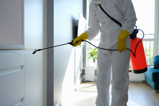 Best Attic Mold Removal  in Coson, OK