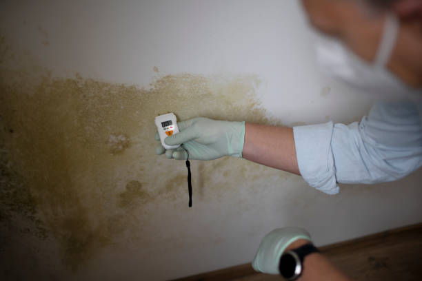 Best Mold Testing  in Coson, OK