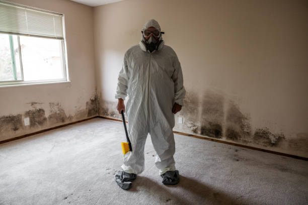 Best Local Mold Removal Service  in Coson, OK