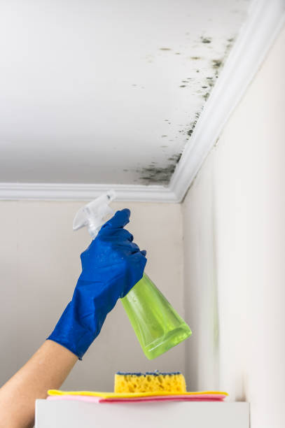 Best Emergency Mold Removal  in Coson, OK